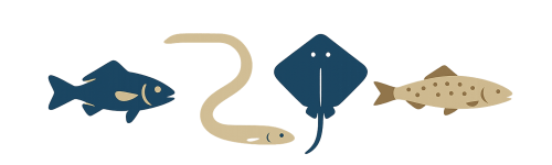 4 espèces